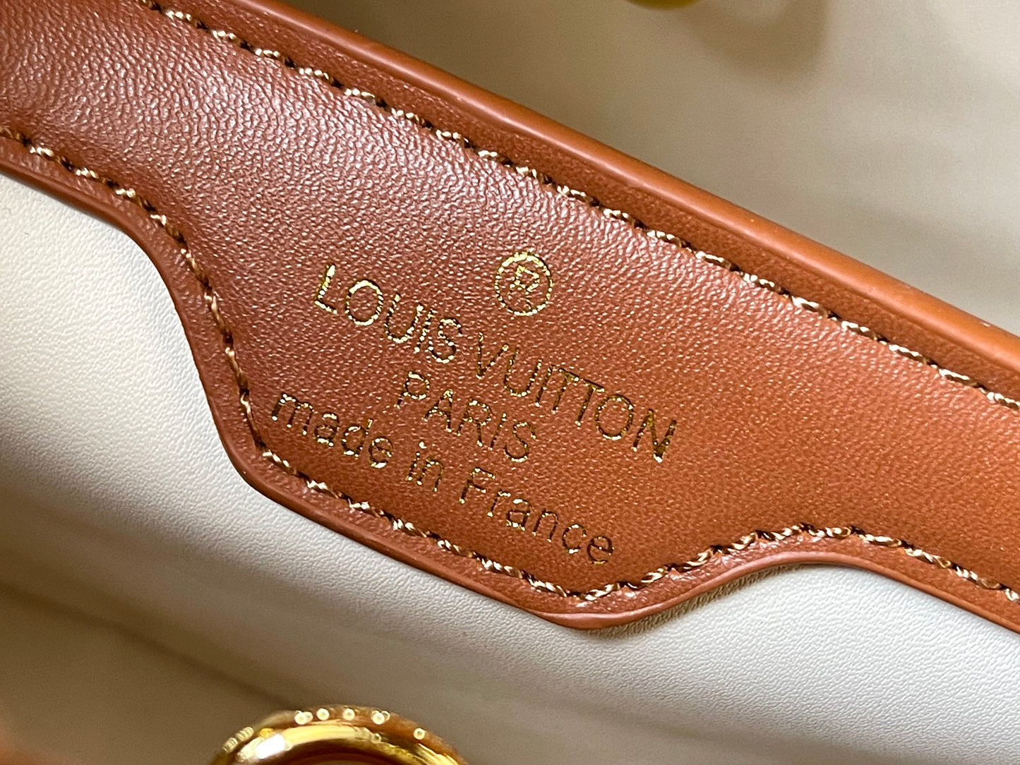 Louis Capucines new arrival bag 03