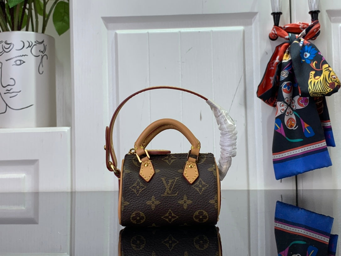 Louis Vuitton LV Micro Speedy Bag