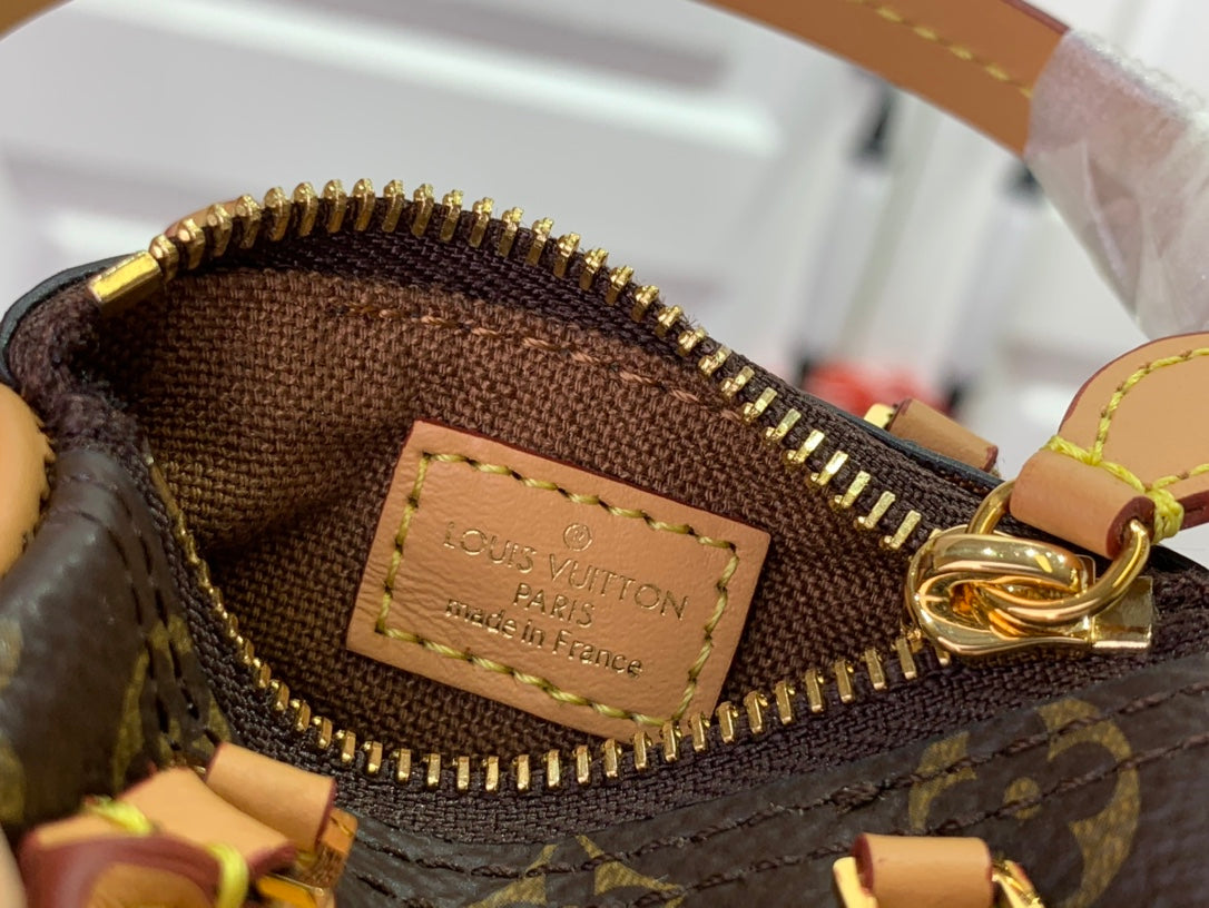 Louis Vuitton LV Micro Speedy Bag