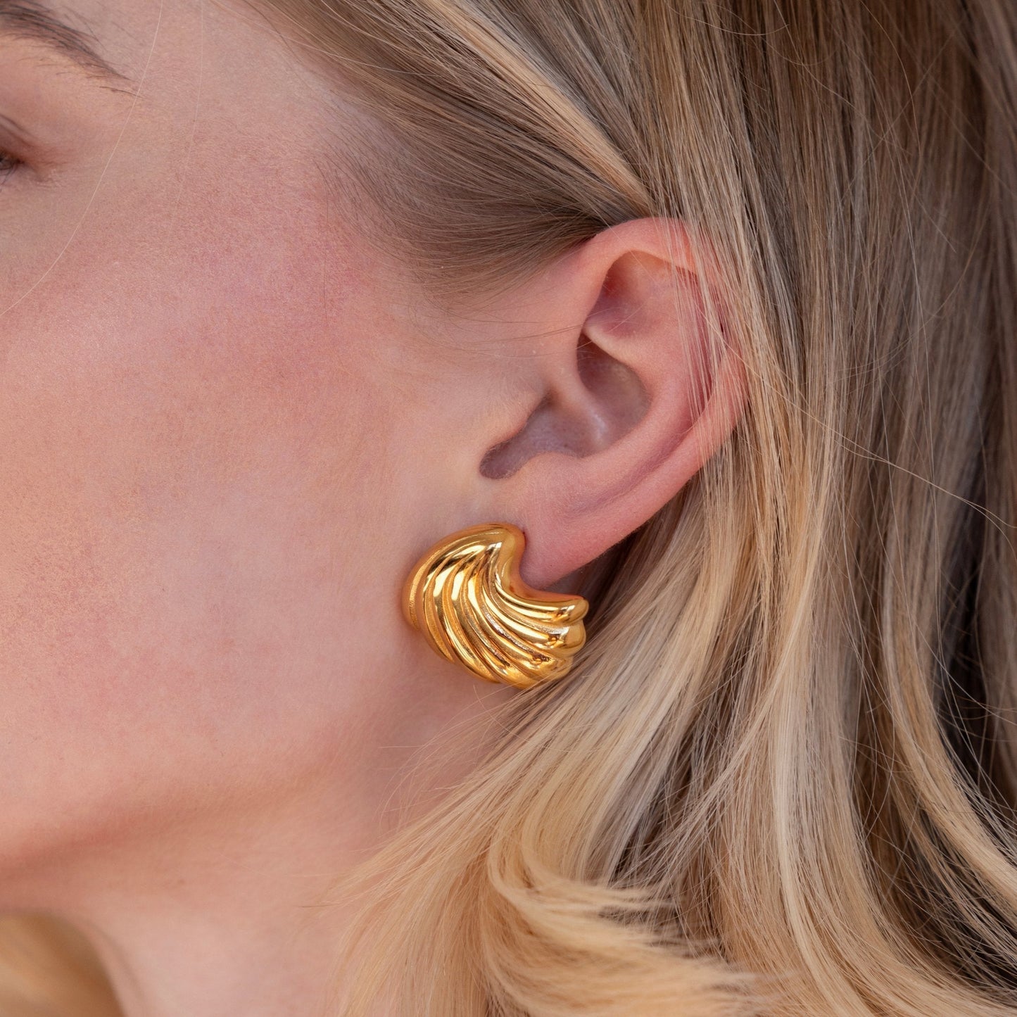 18K Gold Shell Earrings