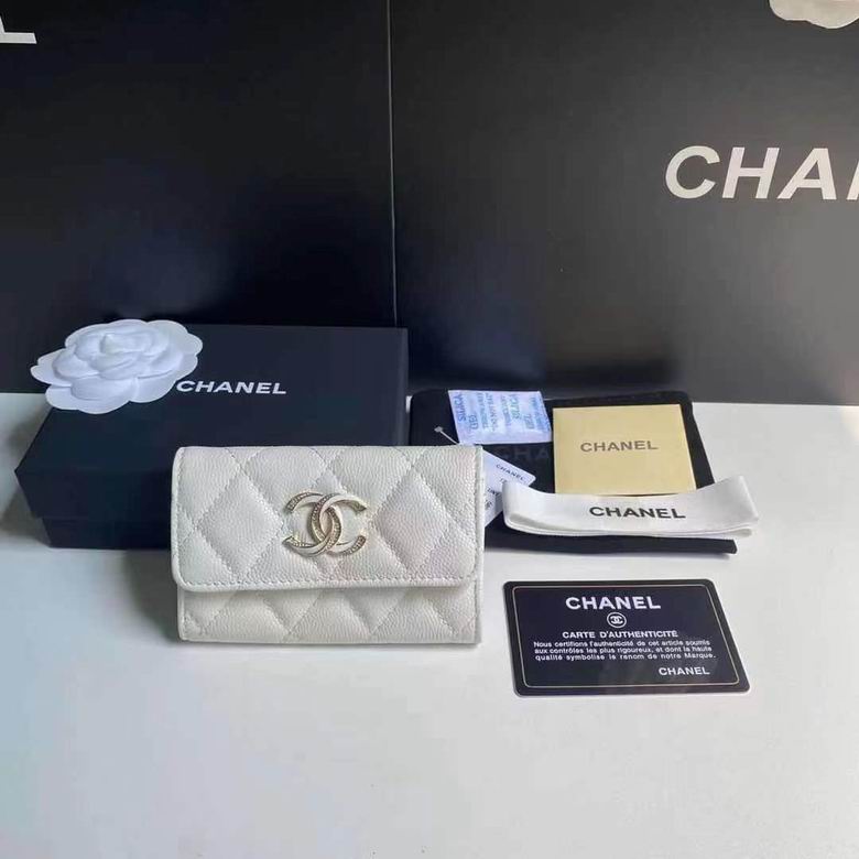 CC 19X3X12cm 092724 YG 3colour wallet