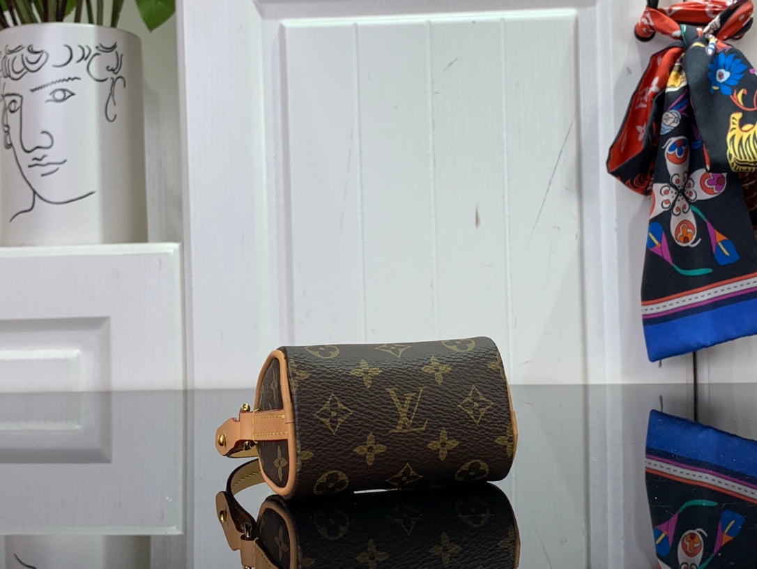 Louis Vuitton LV Micro Speedy Bag