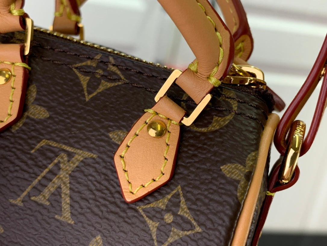 Louis Vuitton LV Micro Speedy Bag