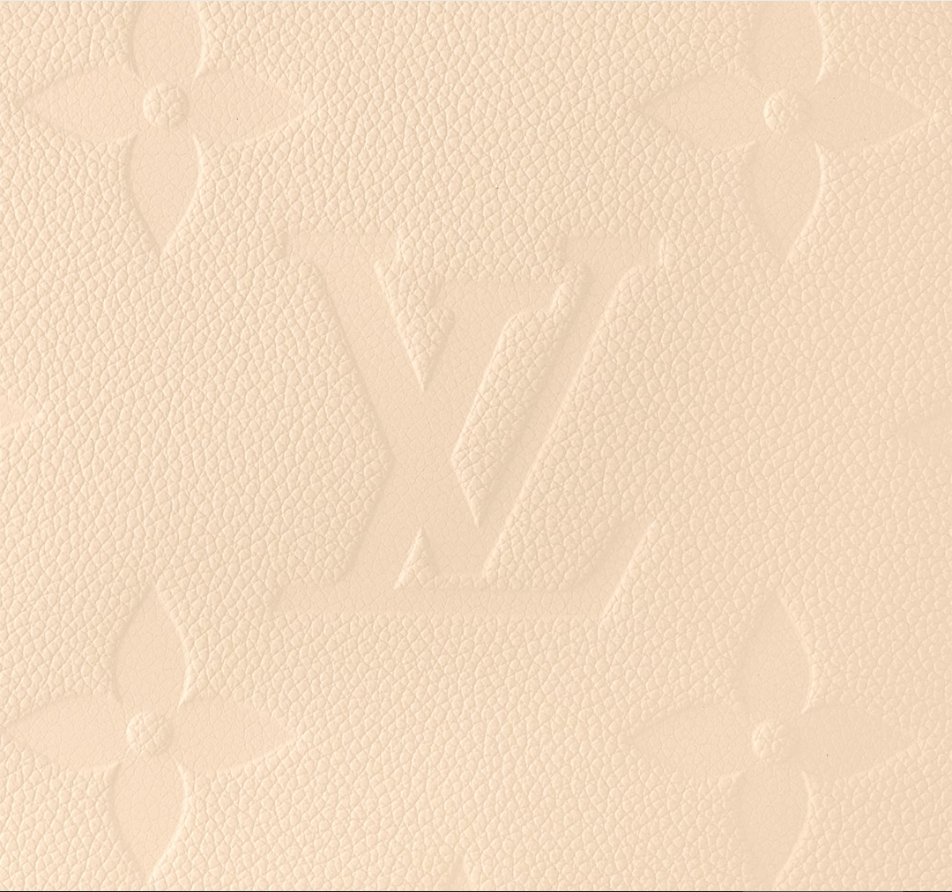 L M46676 Neverfull MM