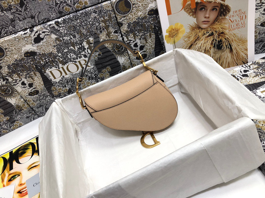 Dior Saddle Small Nude Color 21x18x5 cm
