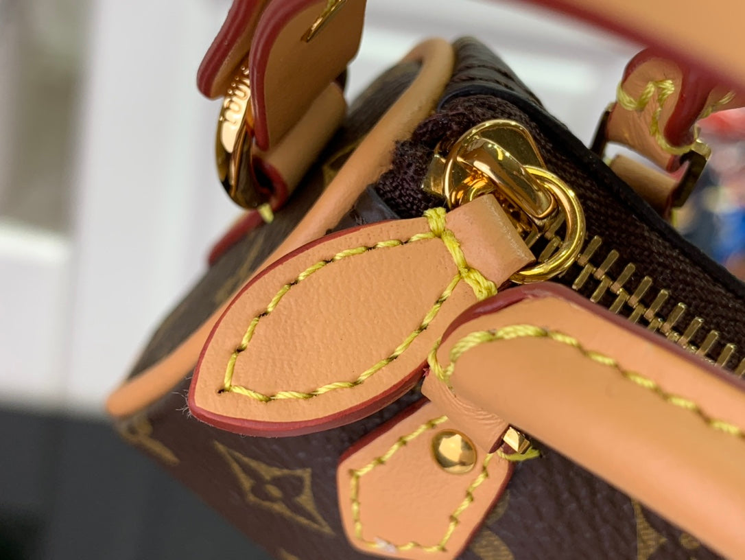 Louis Vuitton LV Micro Speedy Bag