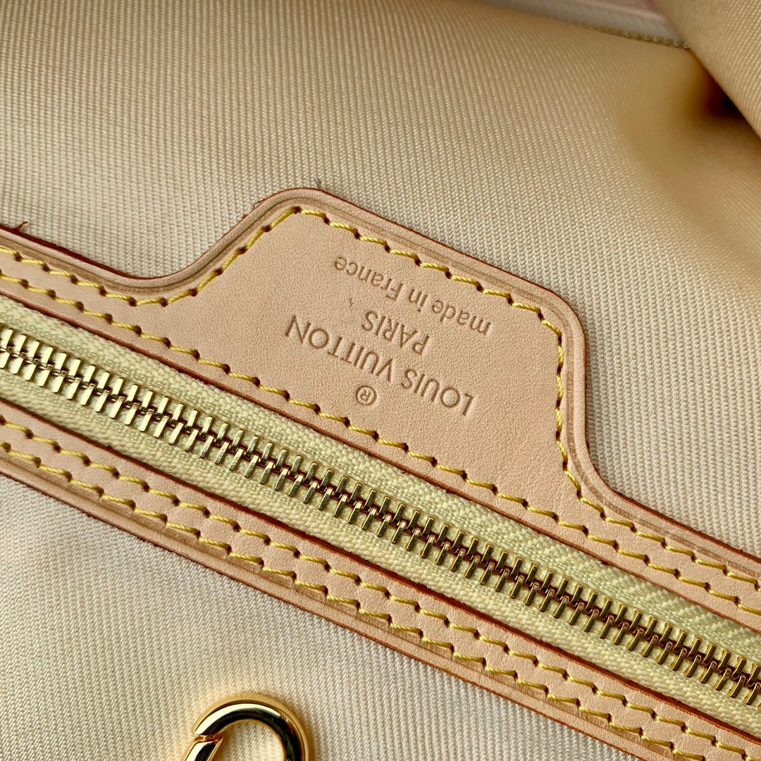 LOUIS VUITTON Damier Giant Neverfull MM Peach N40668