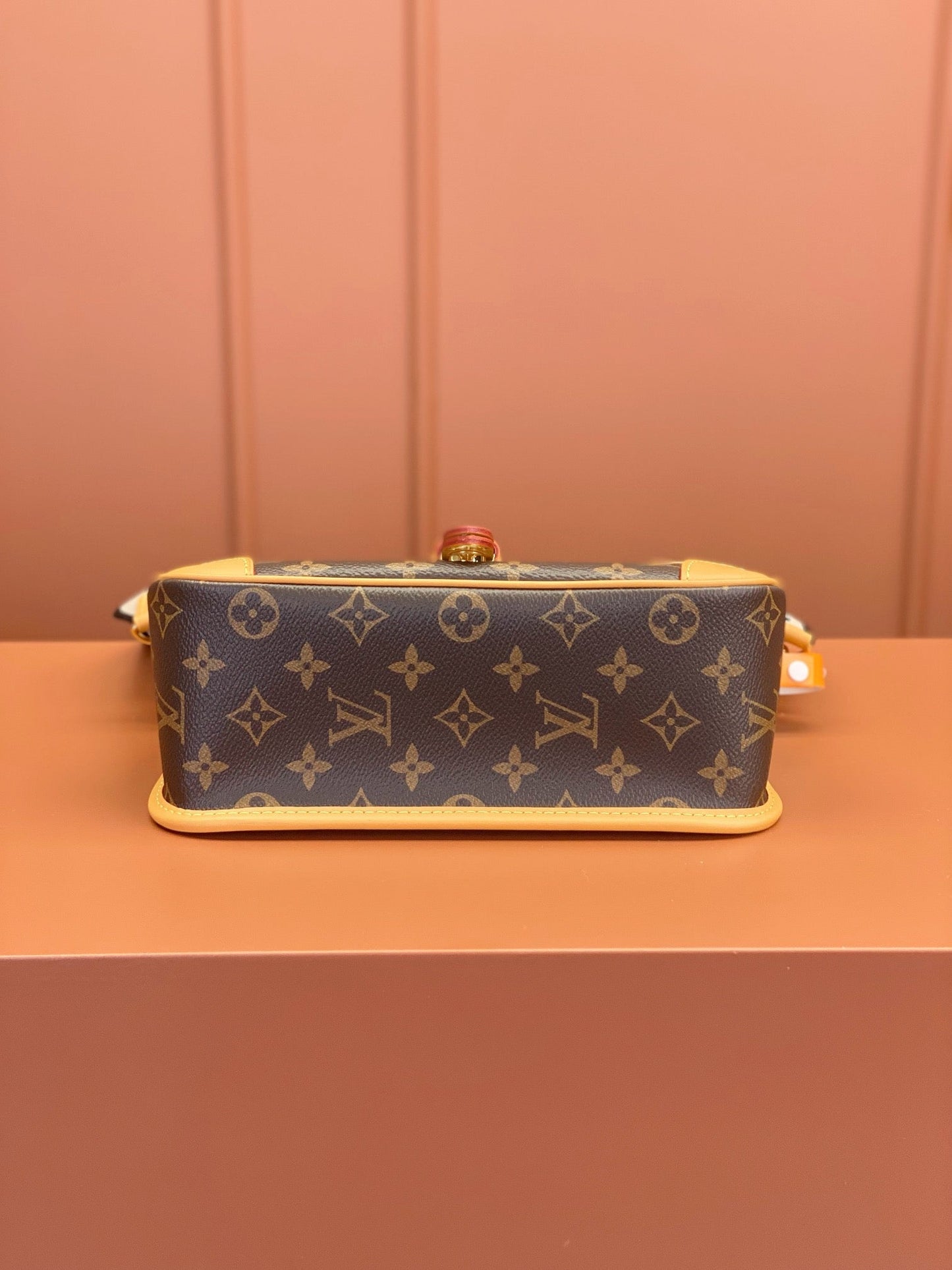 Louis Vuitton M45985 DlANE Hand Bag 24x15x9cm