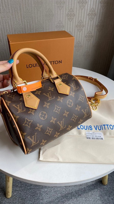 Louis speedy bag 20cm