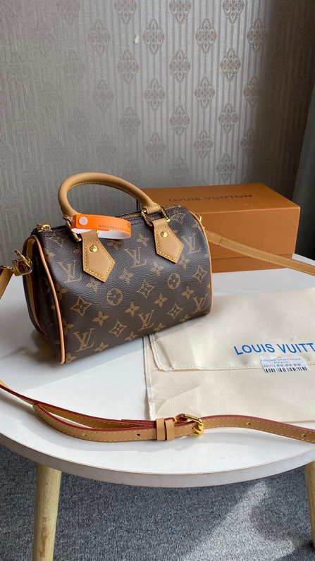 Louis speedy bag 20cm