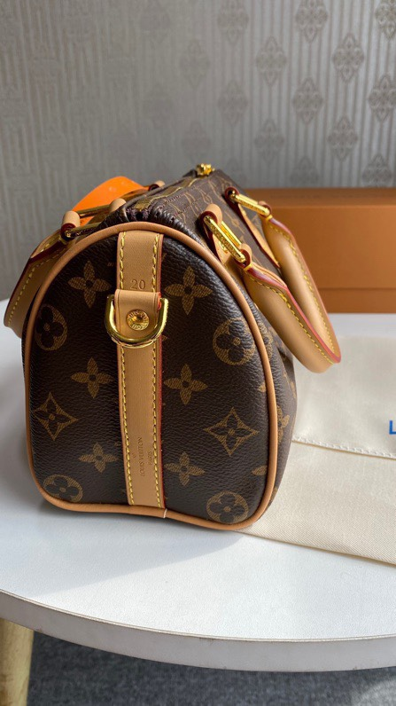 Louis speedy bag 20cm