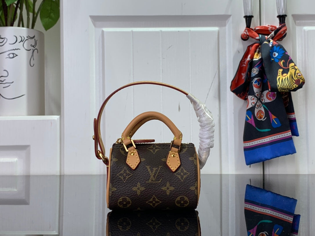 Louis Vuitton LV Micro Speedy Bag