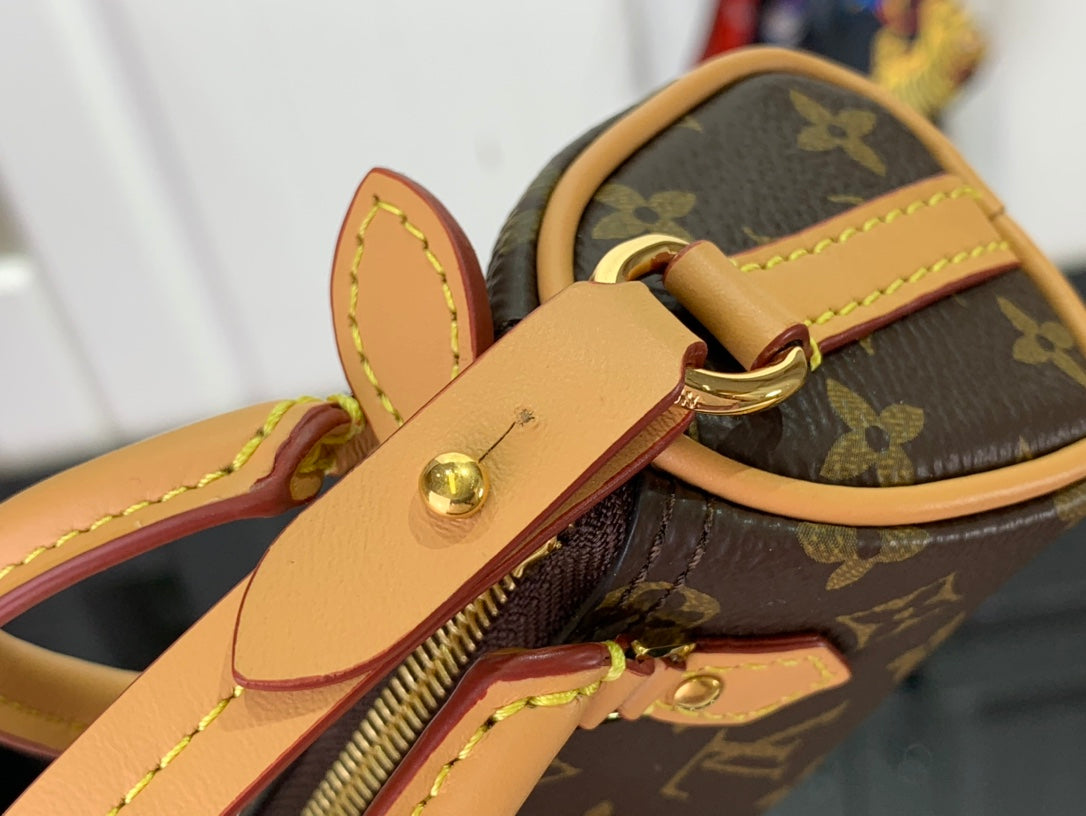 Louis Vuitton LV Micro Speedy Bag