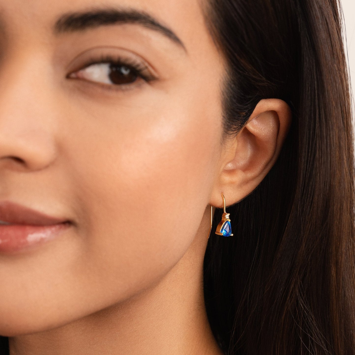 Blue Crystal Drop Earrings