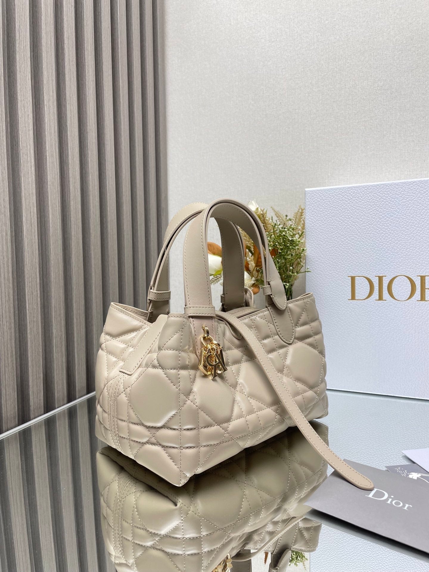 Dior Toujours Bag Small 23x15x15cm