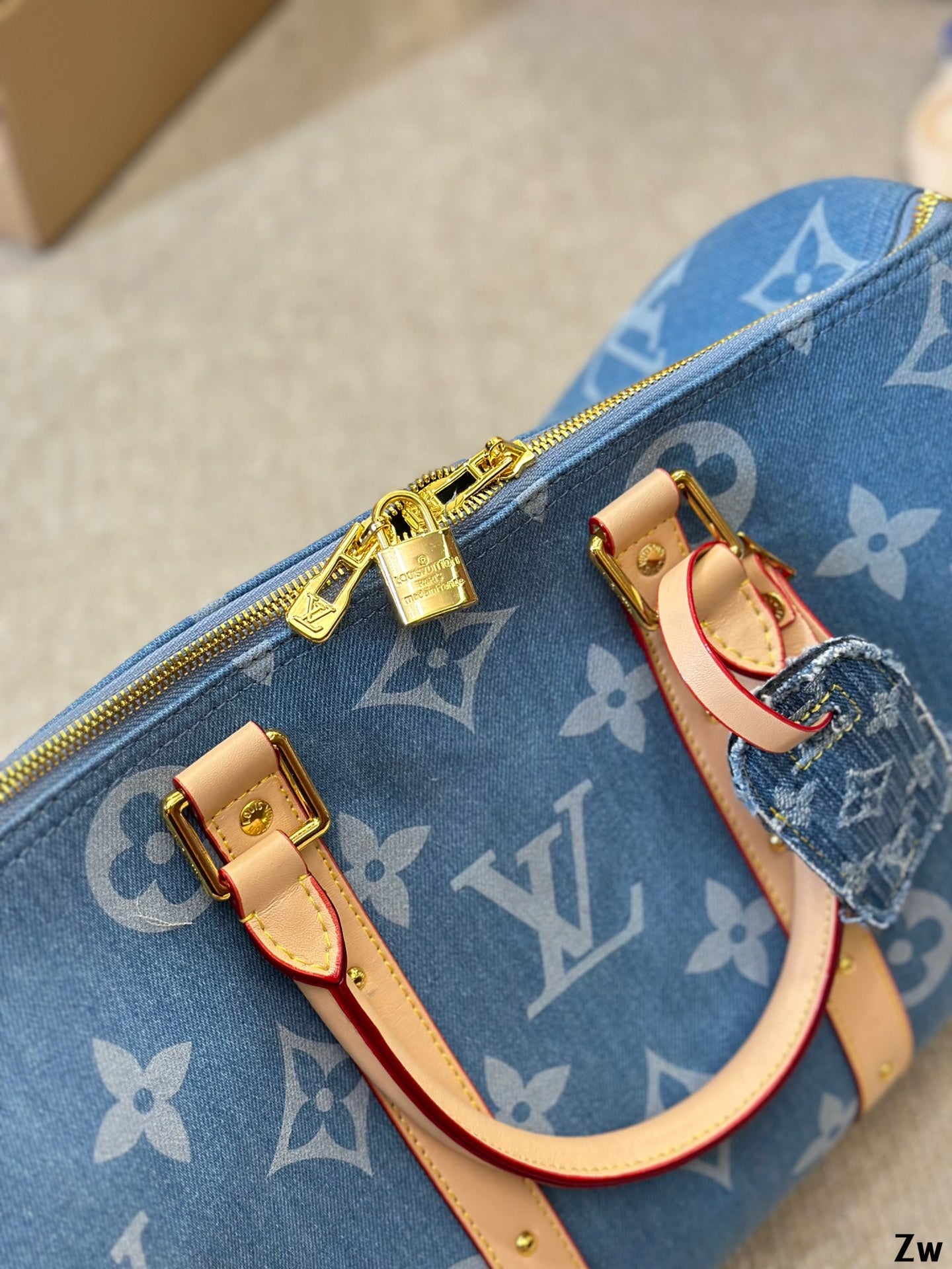 Louis Speedy nano Denim bag