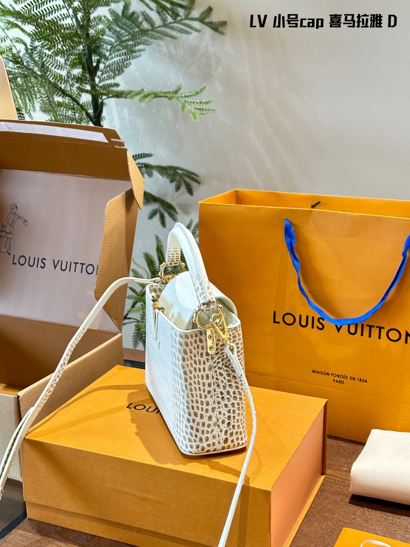 Louis Capucines new arrival bag size: 20 cm