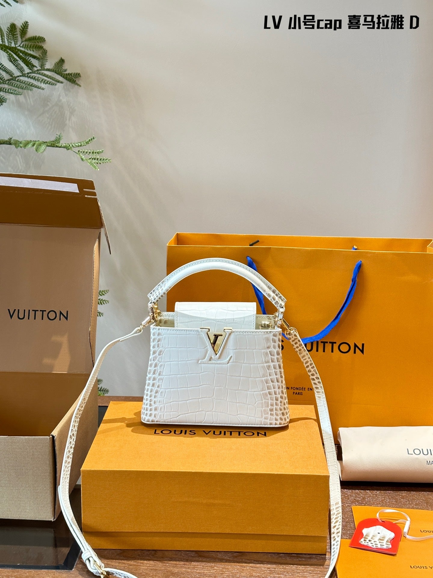 Louis Capucines new arrival bag size: 20 cm