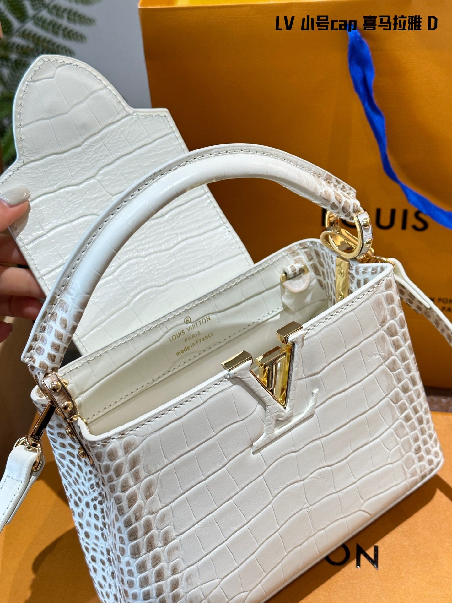 Louis Capucines new arrival bag size: 20 cm