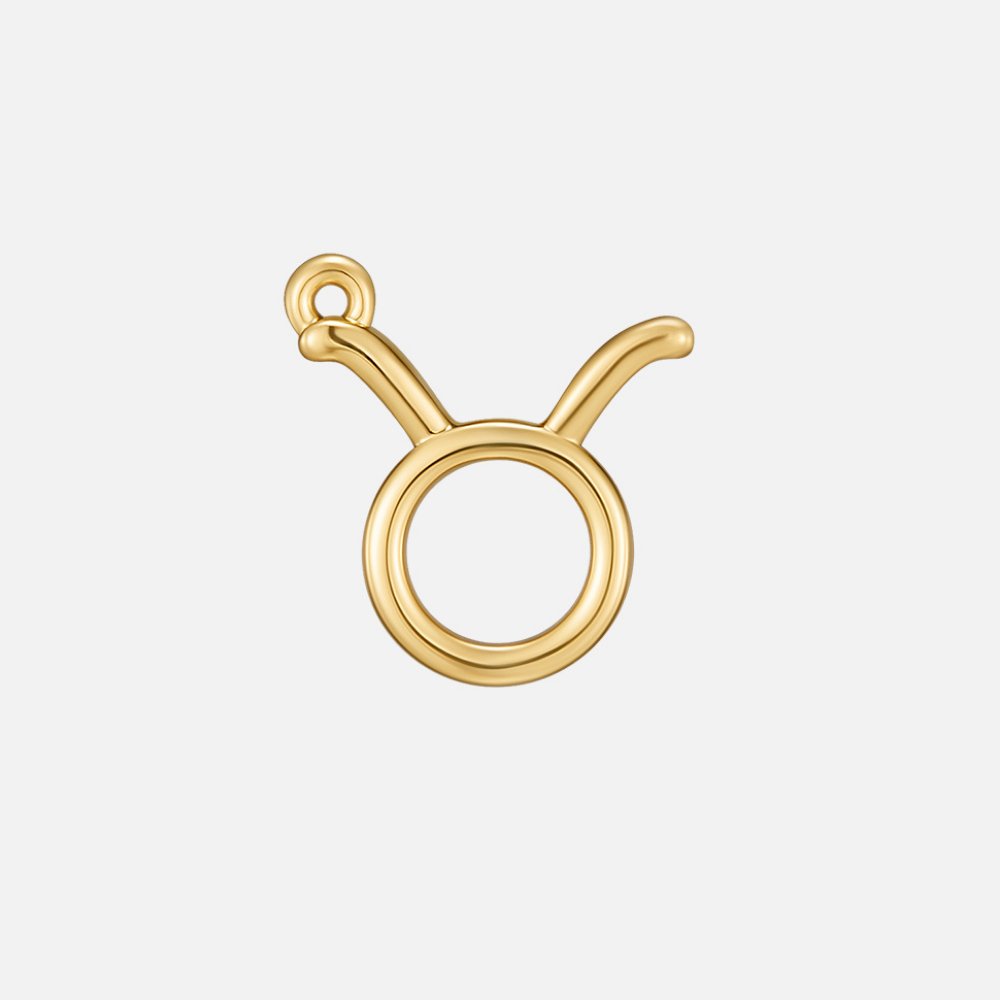 Zodiac Charm Necklace